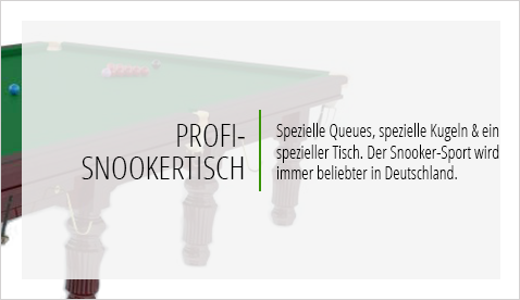 Profi-Snookertisch